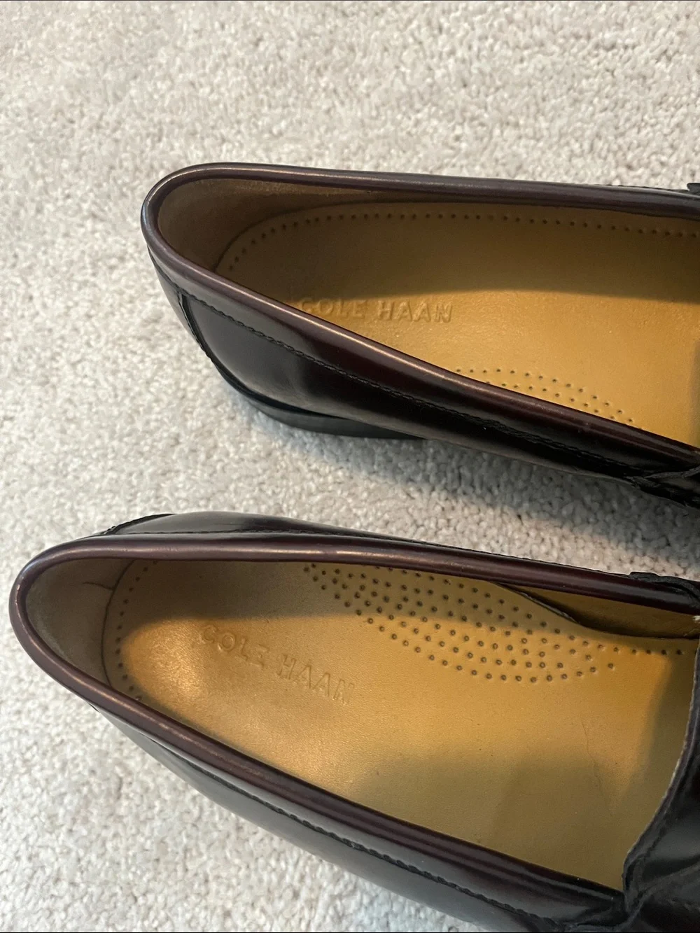 Cole Haan Men's Tassel Penny Loafers in Dark Brown